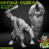 Savage Ogres Release image
