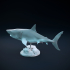 Great white shark swimming image