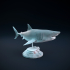 Great white shark swimming image