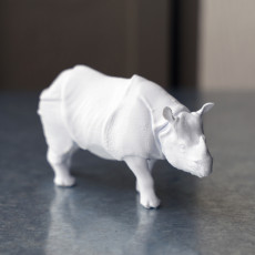 Picture of print of Indian rhinoceros