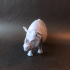 Indian rhinoceros image