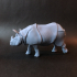 Indian rhinoceros image