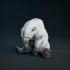Sad Polar Bear image