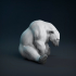 Sad Polar Bear image