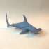 Hammerhead Sharks image