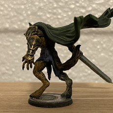 Picture of print of Aegon, The Wolf Knight