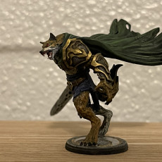 Picture of print of Aegon, The Wolf Knight