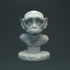 Baby Chimp Bust image