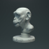 Baby Chimp Bust image