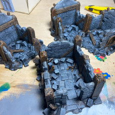 Picture of print of House Ruins [ SUPPORTLESS ]