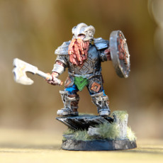 Picture of print of Clan warriors (dwarf warriors)
