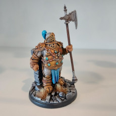 Picture of print of Tempest Hold Bjorn