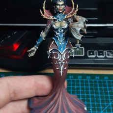 Picture of print of Mistress of Blood 75mm and 32mm pre-supported