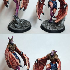 Picture of print of Vampires batform 6 miniatures 32mm pre-supported