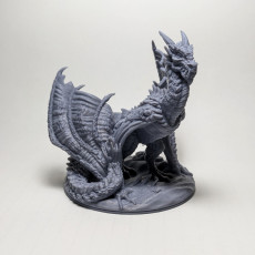 Picture of print of Wyvern [Support-free]