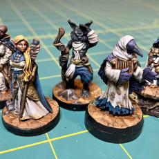Picture of print of Desert Catfolk - Seer and Guide [Support-free]