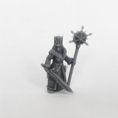 Picture of print of Ice queen 28mm