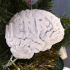 Xmas Brain Decoration image