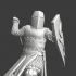 Knight with great helmet and sword image