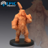 Orc Warg Tamer Set / Green Skin Army Warrior / Classic Creature image
