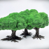 Playable Deciduous Tree Copse A image
