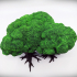 Playable Deciduous Tree Copse B image