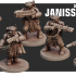 Desert Hawks Janissaries image