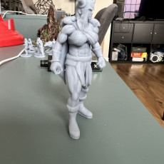 Picture of print of Anycubic Print My Tribe Competition