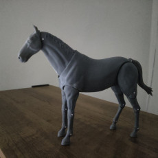 Picture of print of 1:12 Scale Horse Poseable Figure