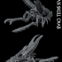 Titan Skull Crab image