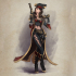 Anne the Pirate Captain image