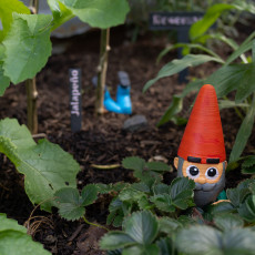 Picture of print of POTTING GNOME
