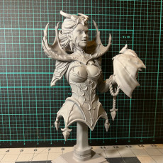 Picture of print of Mistress of Blood bust pre-supported