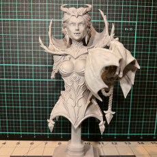 Picture of print of Mistress of Blood bust pre-supported