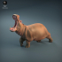 Angry Hippo image