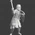 Heavy armoured Livonian Knight image