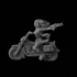 Meri the Rider image