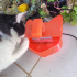 CAT DRINKING FOUNTAIN image