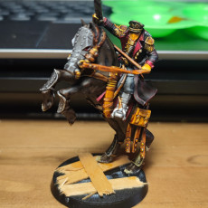 Picture of print of Death Squad – Mounted Commissar of the Imperial Force