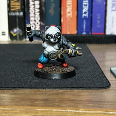 Picture of print of Panda Monk (pre-supported included)
