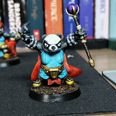 Picture of print of Panda Wizard (pre-supported included)
