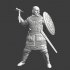 Medieval pagan tribal warrior - Commander image