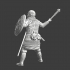 Medieval pagan tribal warrior - Commander image