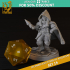 RPG - DnD Hero Characters - Titans of Adventure Set 19 image