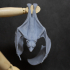 Flying Fox - Fruit Bat image