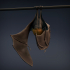 Flying Fox - Fruit Bat image