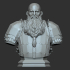 Iron Hill Dwarf Bust - no presupported image