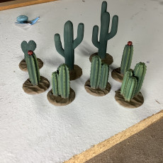 Picture of print of Desert plants / cactus [Support-free]