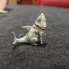 Picture of print of Shark Pup - Max