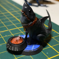 Picture of print of Shark Pup - Max